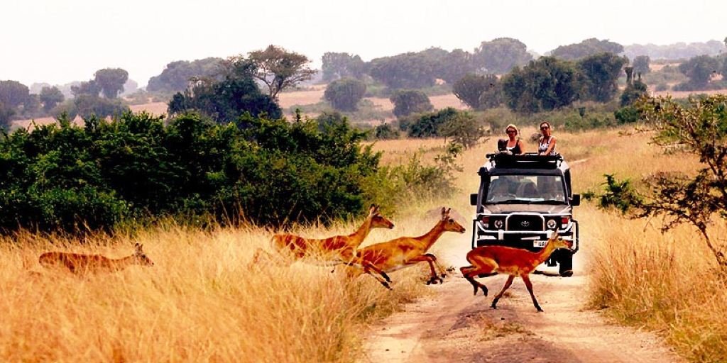 QueenElizabethNationalPark